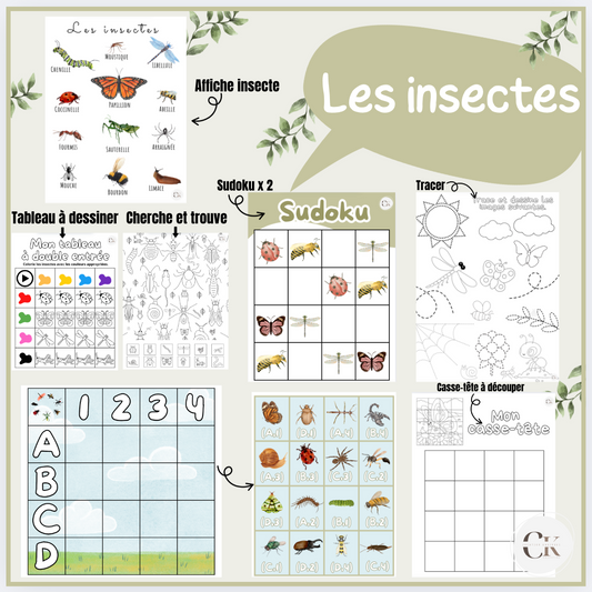 Atelier: Les insectes