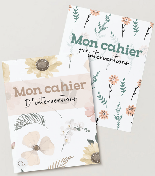 Le cahier de l'intervenant