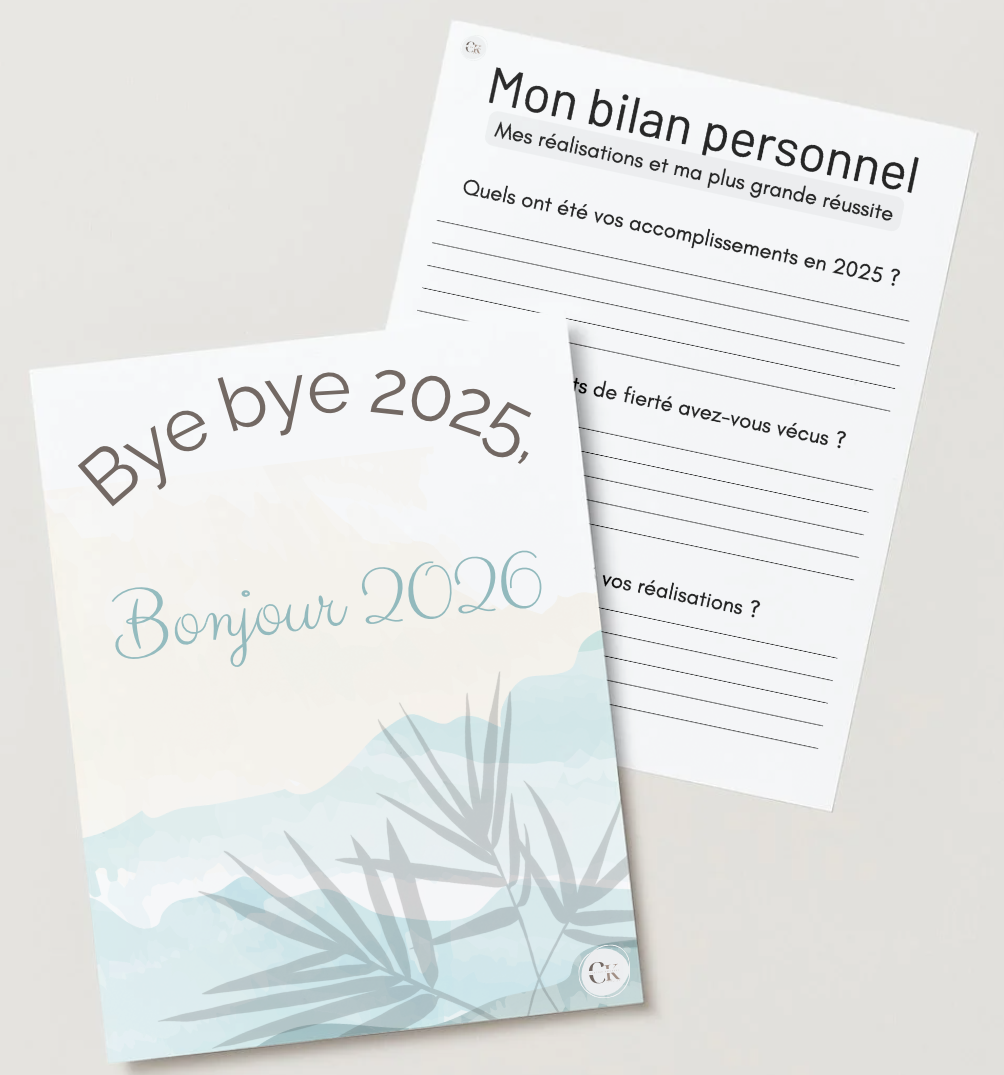 Cahier byebye 2025