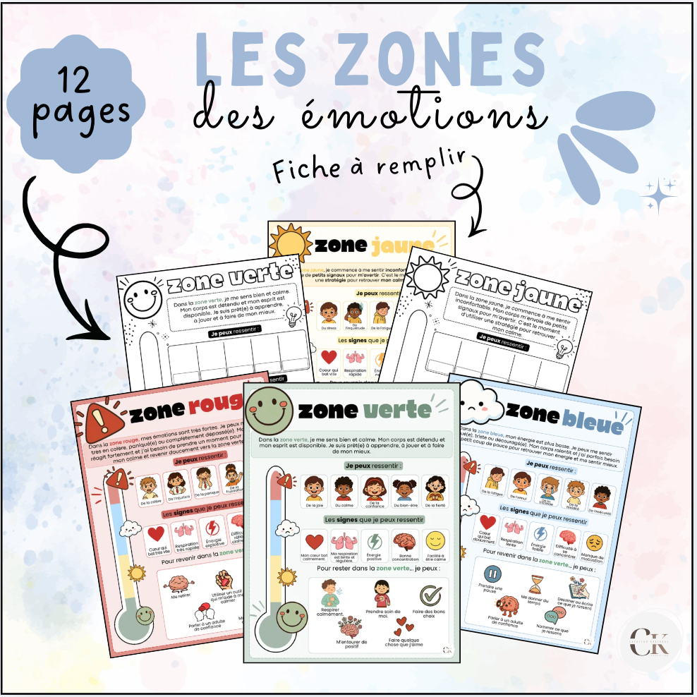 Les zones de régulation émotionnelle